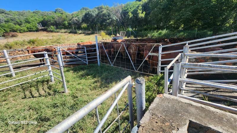 0 Bedroom Property for Sale in Rustenburg Rural North West